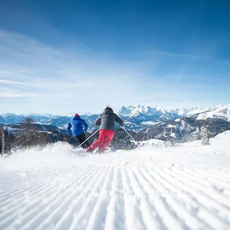 Berg&selig Apartamento Pfarrwerfen